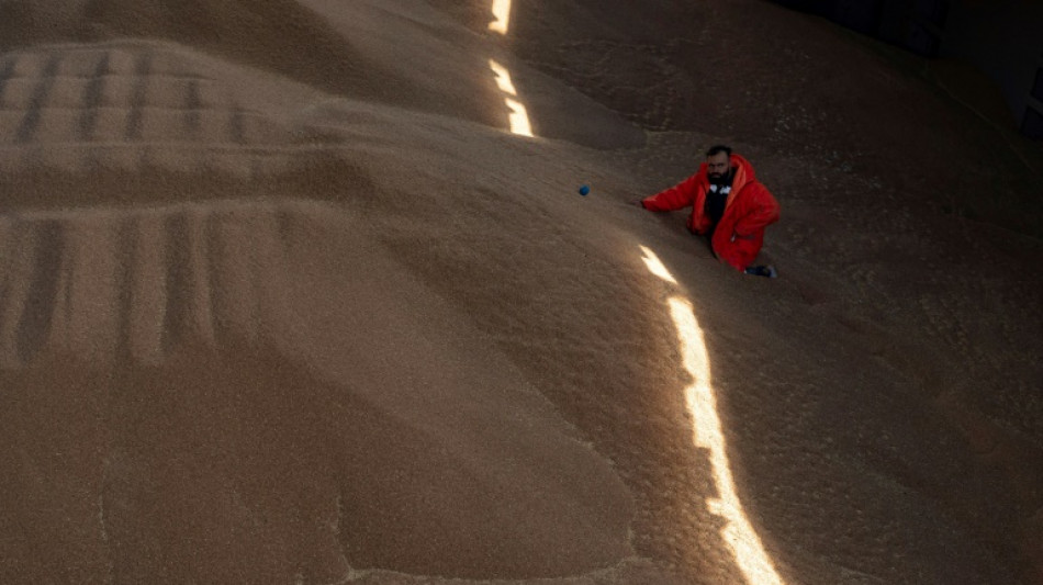 Los granos ucranianos crean un atolladero de buques por largas esperas en Turqu&iacute;a