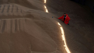 Los granos ucranianos crean un atolladero de buques por largas esperas en Turqu&iacute;a