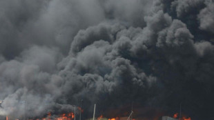 Explosion dans un port en Iran: le ministre de l'Int&eacute;rieur pointe la "n&eacute;gligence", 46 morts