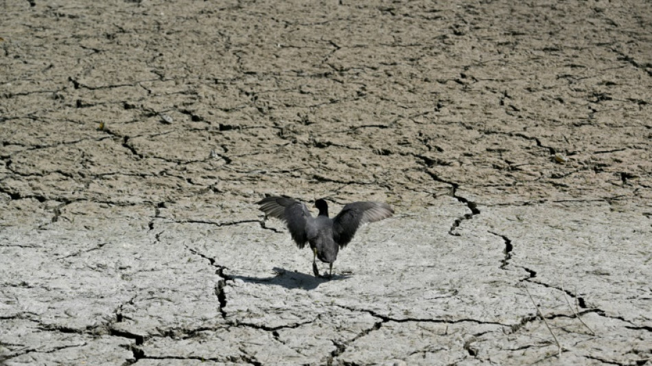 Tens&otilde;es globais afetam os preparativos da COP30, mas 'o fracasso n&atilde;o &eacute; uma op&ccedil;&atilde;o'