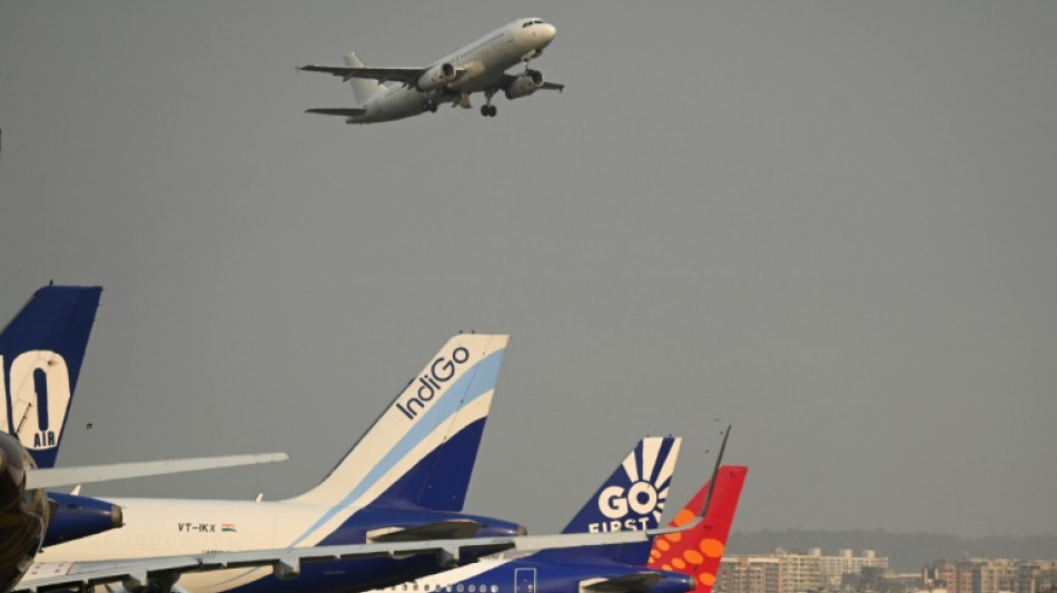 Snakes on a plane: Indian smuggler caught with venomous vipers