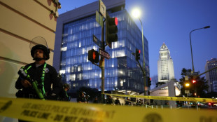 Police make 'mass arrests' in LA during nighttime curfew