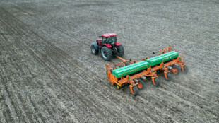 Cansado da pol&iacute;tica, campo argentino se inclina por Milei