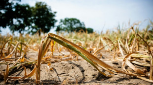 Gr&uuml;ne werfen Regierung "Wegschauen" bei Klimakrise vor - Debatte im Bundestag angesetzt