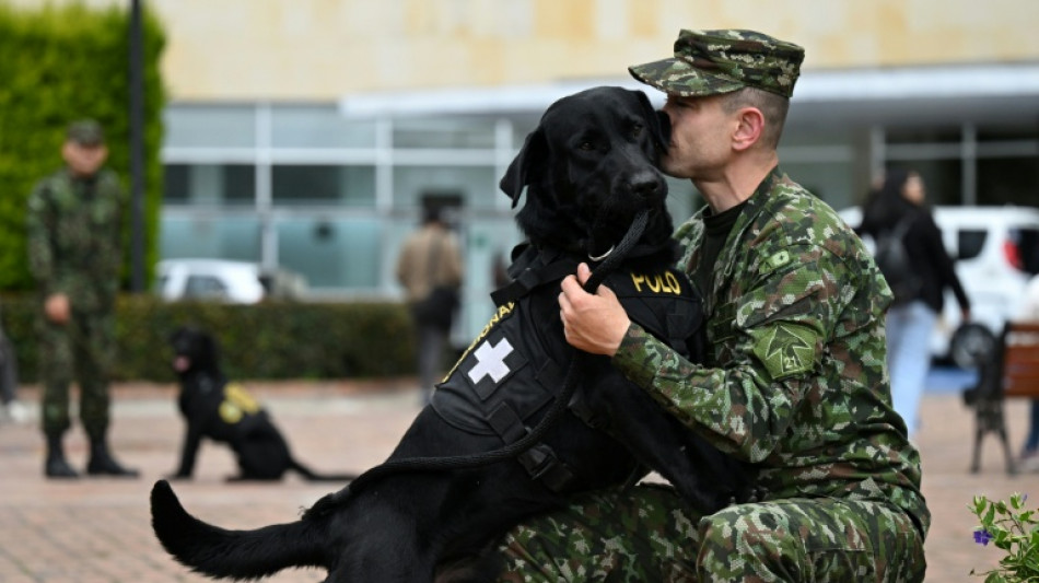 C&atilde;es terapeutas ajudam soldados feridos em hospital da Col&ocirc;mbia