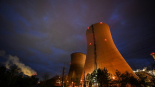 Bundes&auml;mter f&uuml;r nukleare Sicherheit warnen vor Risiken auch nach Atomausstieg