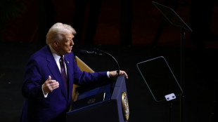 Tech, auto, m&eacute;dicaments: qui payerait les droits de douanes de Donald Trump?