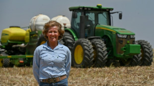 Eclips&eacute;e par l'Amazonie, l'inestimable savane br&eacute;silienne en danger