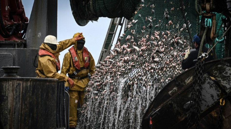 Los pa&iacute;ses de la UE alcanzaron un dif&iacute;cil acuerdo sobre cuotas pesqueras para 2025