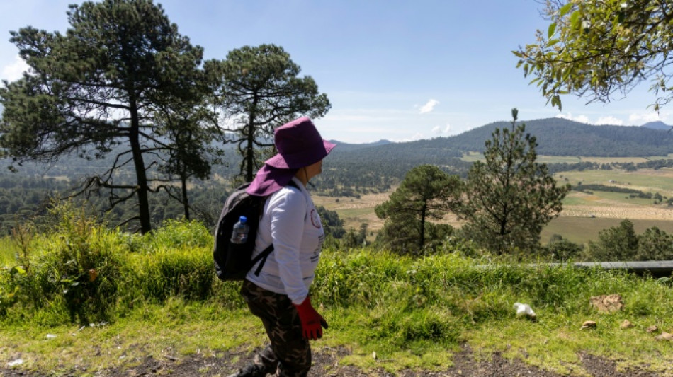 Inician la b&uacute;squeda de m&aacute;s de un centenar de desaparecidos en una zona boscosa de Ciudad de M&eacute;xico