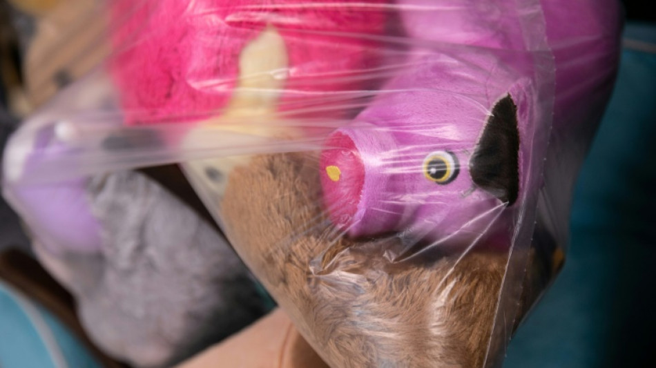 Rabiate Aufr&auml;ummethode alarmiert Polizei: Junge wirft Stofftiere aus Dachfenster