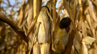 Erntebilanz: Agrarminister Rainer bescheinigt "massive Krise von nationaler Tragweite"