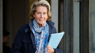 Centres-villes: le gouvernement va allouer 5 milliards d'euros suppl&eacute;mentaires