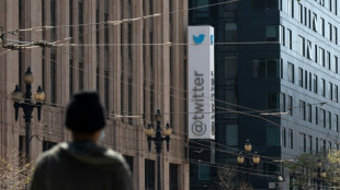 Musk puso en la mira a una ejecutiva l&iacute;der de la moral en Twitter