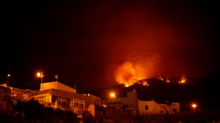 Canaries: quelque 26.000 &eacute;vacuations &agrave; Tenerife, l'incendie toujours en cours 