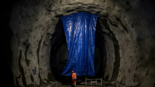 Chamb&eacute;ry: des centaines de personnes manifestent contre le Lyon-Turin