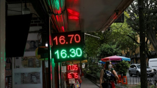 Remesas a M&eacute;xico alcanzan r&eacute;cord de 64.745 millones de d&oacute;lares en 2024