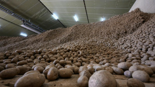 From potato chips to silicon chips: lobbies cover all in Brussels