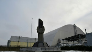 La central de Chern&oacute;bil est&aacute; "totalmente parada" debido a la ofensiva rusa