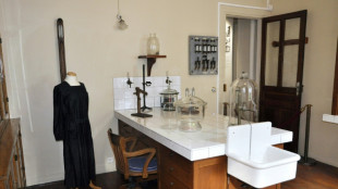 Francia suspende la demolici&oacute;n de un sitio hist&oacute;rico relacionado con Marie Curie