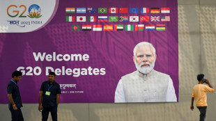 G20 gathers in India, without China's Xi