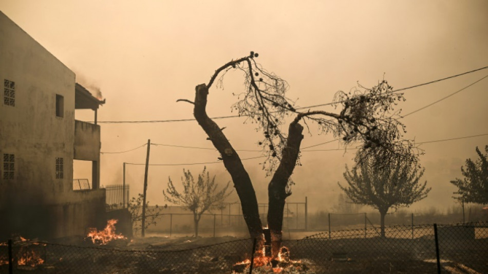 Climate change could bring year-round heatwaves: UN researcher