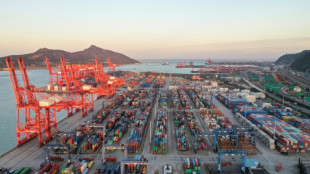 Deutsche Unternehmen berichten &uuml;ber zunehmende Handelshemmnisse bei Auslandsgesch&auml;ften