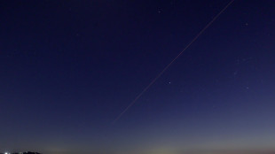 Israele, uccisi met&agrave; comandanti Hezbollah in sud Libano