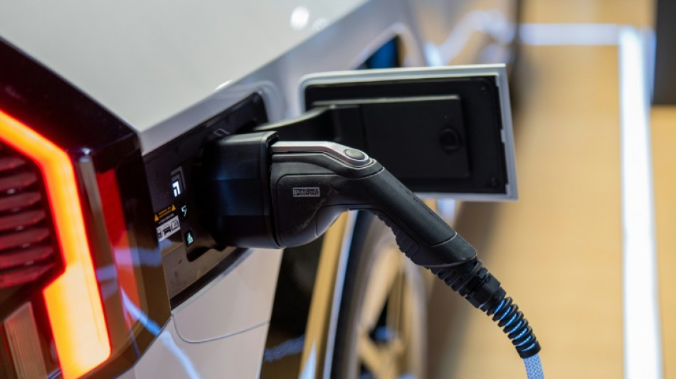 Branchenverband: Ladesäulen-Angebot für aktuelle Anzahl E-Autos sehr hoch