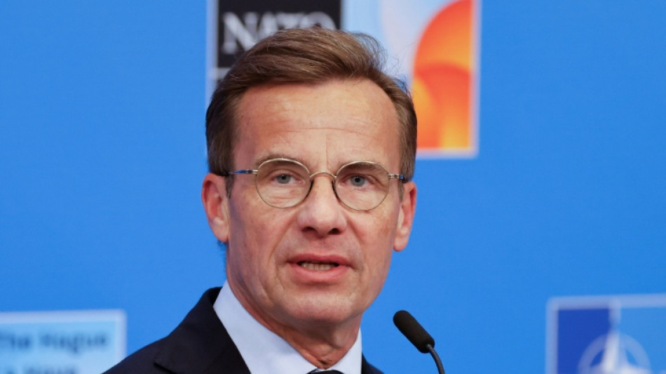 Suecia exige que la UE congele la parte comercial de su acuerdo de asociaci&oacute;n con Israel