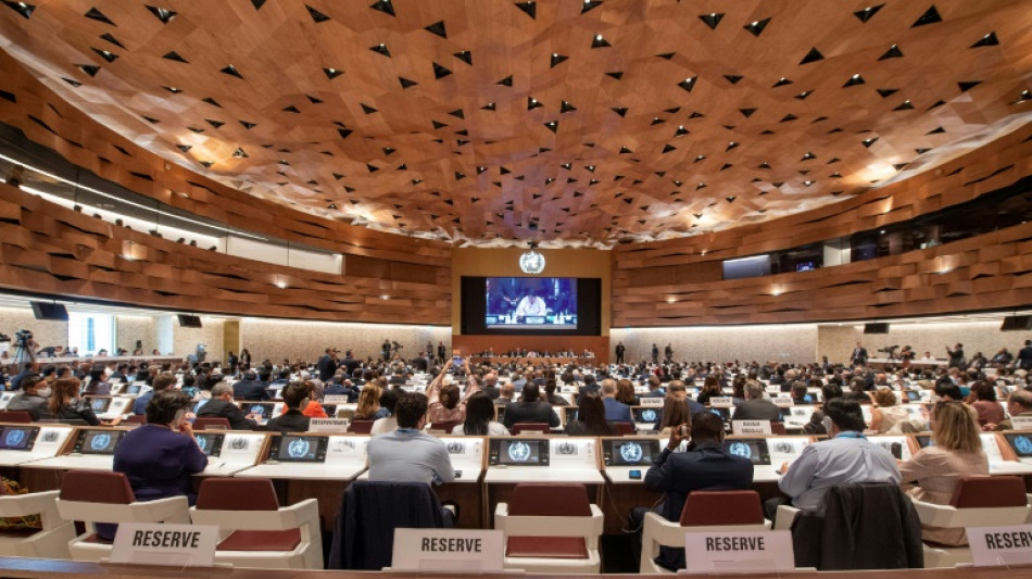 La OMS evaluar&aacute; si la viruela del mono representa una "emergencia de salud p&uacute;blica internacional"