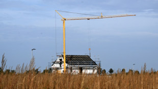 Sprunghafter Anstieg der Baugenehmigungen - Branche sieht aber noch großen Bedarf