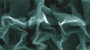 Realizzato grafene record, pronto all'uso per chip o batterie