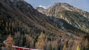 El tren m&aacute;s largo del mundo, en los Alpes suizos