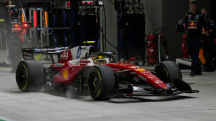'Sorry boys': Hamilton takes blame for botched tyre call