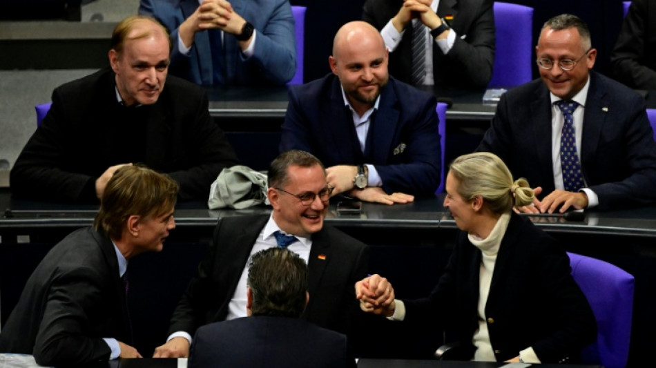 AfD-Abgeordnete reisen zu Gesprächen mit Trump-Partei in USA