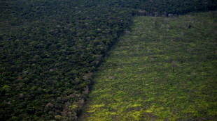 Br&eacute;sil: en Amazonie, les "terres de personne" particuli&egrave;rement vuln&eacute;rables