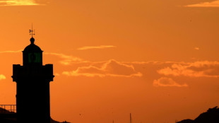 Records de chaleur dans le sud-est pour un mois de janvier, selon M&eacute;t&eacute;o-France