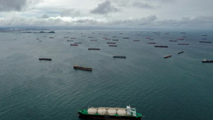 Presidente de Panam&aacute; resta importancia a restricciones de tr&aacute;nsito por el Canal