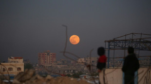 Israel mantiene la prohibici&oacute;n de entrada en Gaza para periodistas extranjeros