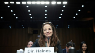 Chefe da intelig&ecirc;ncia americana alerta para o aumento das amea&ccedil;as &agrave;s elei&ccedil;&otilde;es de 2024