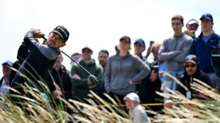 Chasing pack aim to hunt down Harman at British Open