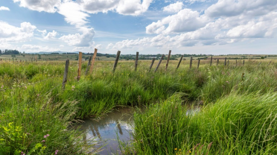 Dans le Cantal, un projet de carri&egrave;re sur une zone humide suscite des remous