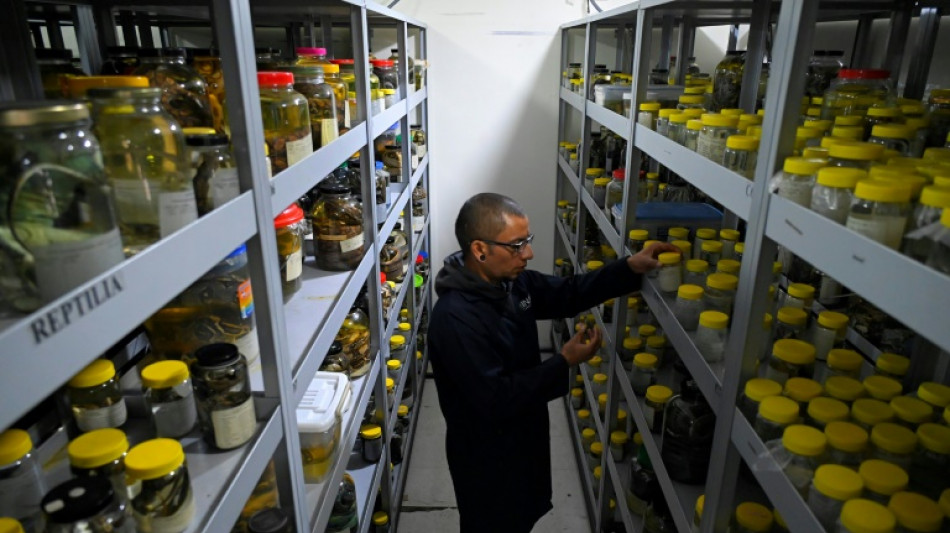 Peque&ntilde;o bosque de Ecuador compite en diversidad con grandes reservas de la biosfera