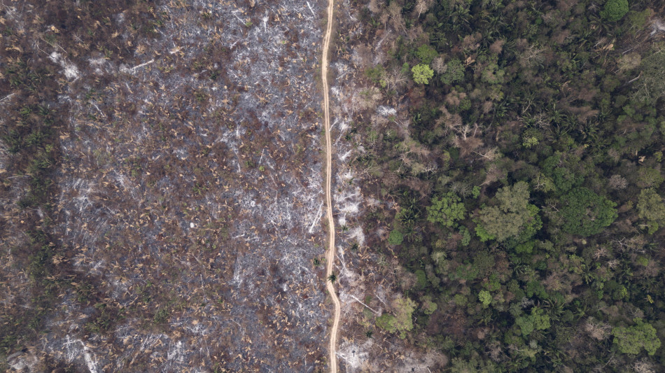 Brasile, deforestazione Amazzonia +4% in 12 mesi