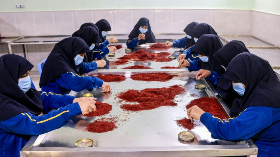 Mais de 1 milh&atilde;o de adolescentes afeg&atilde;s foram banidas da escola desde retorno dos talib&atilde;s



