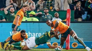 Arendse recalled as Springboks make nine changes for Pumas