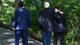 Biden widens web of US alliances faced with China, Russia, Trump