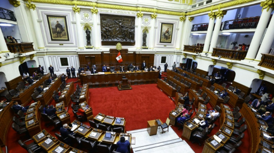 El Congreso de Per&uacute; aprueba una amnist&iacute;a a militares procesados por cr&iacute;menes de DDHH en el conflicto