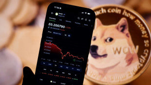 "Comme au loto": au-del&agrave; du bitcoin, des investissements crypto ultra-risqu&eacute;s
